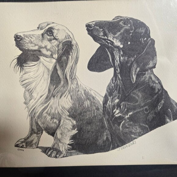 J. Beaudoin | Accents | Vintage Dachshund Dog Sketch Print By J ...